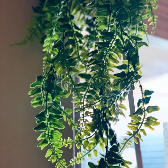 Meet your Posher, Andrea - Picture 1 of 1